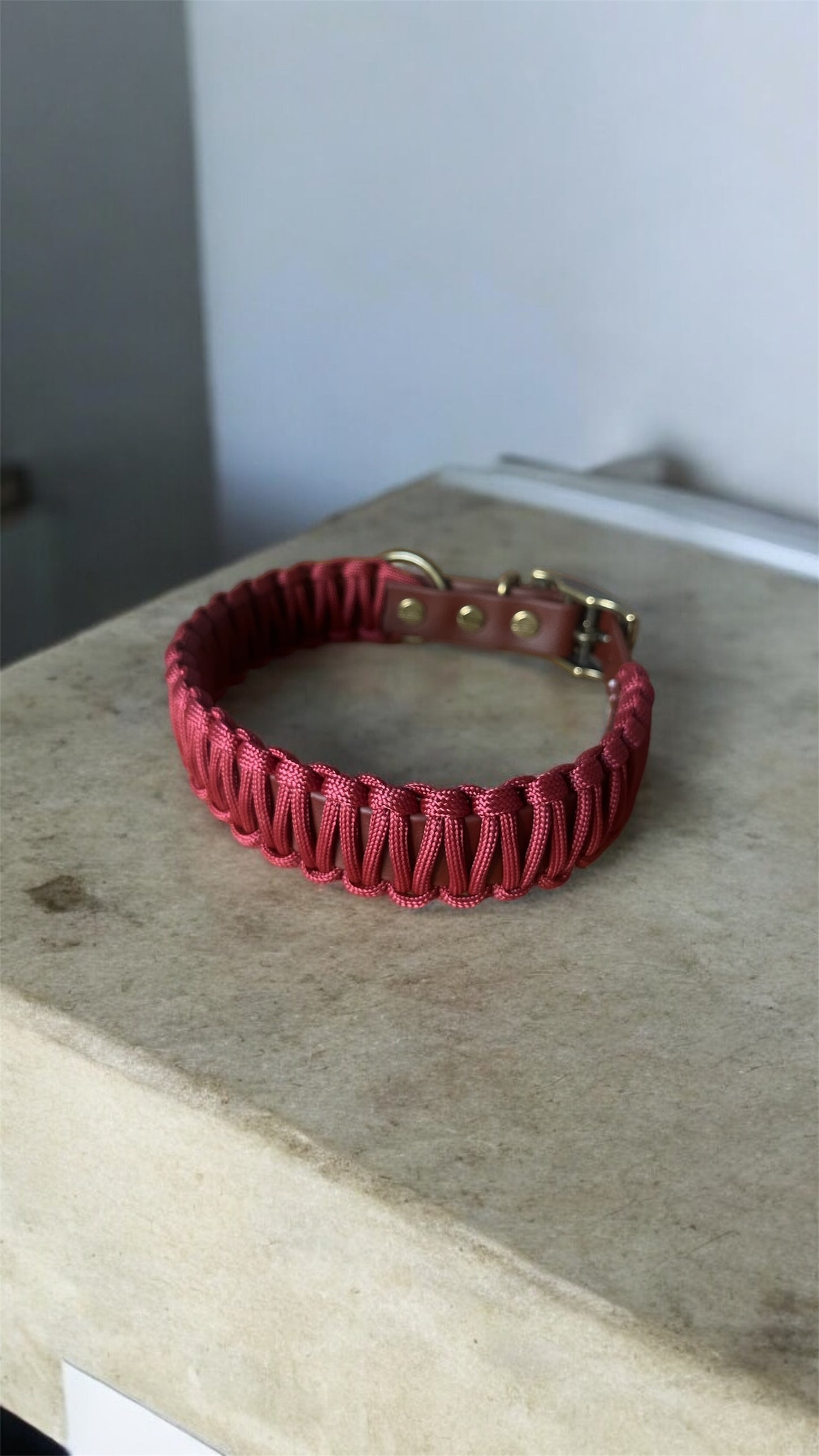 Paracord-Design-Halsband