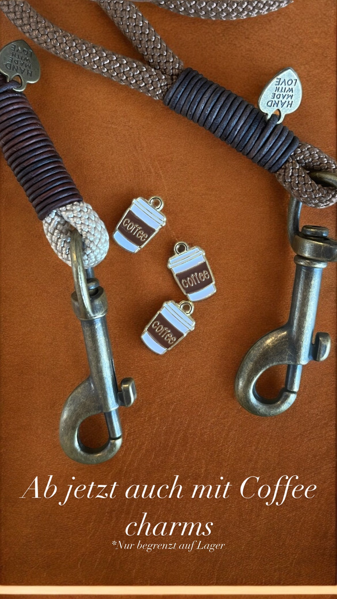 Leine für kleine Hunde (6mm dick)