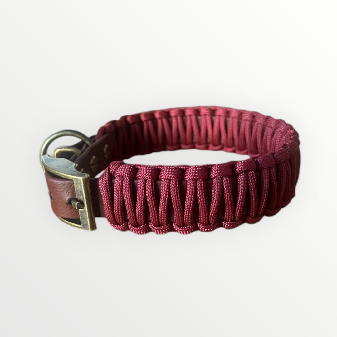 Paracord-Design-Halsband