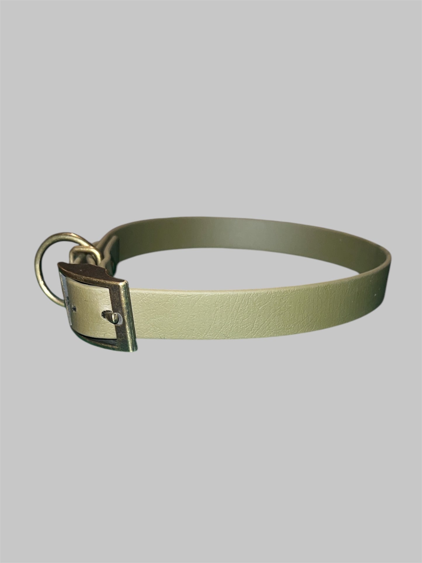 Biothane Halsband mit Tau Leine