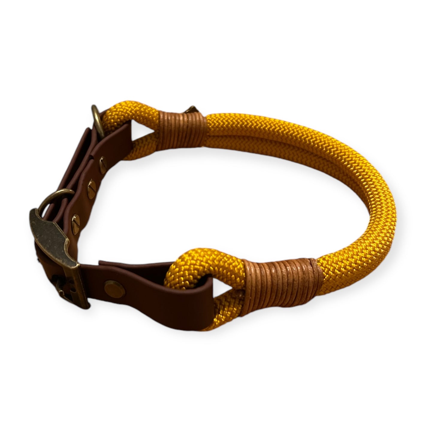 Gelbes Halsband