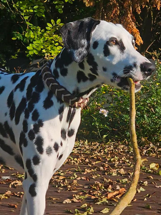 Citywalk Lederhalsband