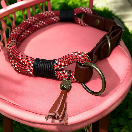 Feuer & Erde – Handgefertigtes Paracord Hundehalsband aus Biothane