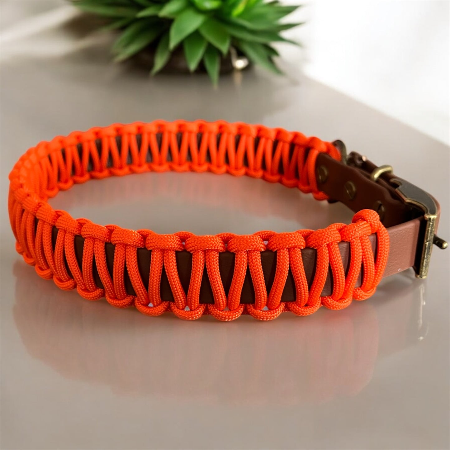 Aperoli Halsband Biothan